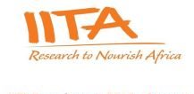 IITA Recruitment 