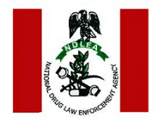 NDLEA Recruitment 2020/2021 Application Form Portal | www.ndlea.gov.ng